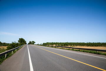 Picturesque country road and clear sky