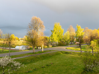 colorful landscape with colorful trees in the evening light, a small village view of the street