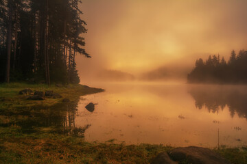 Mystical light in the early morning. Photographed at a small lake in Bulgaria.