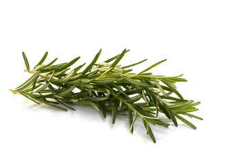 Rosemary in herb garden ,macro close up leaf on white background