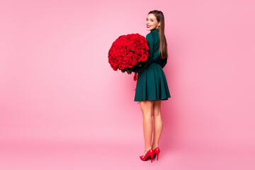 Full body profile photo of attractive chic lady hold large one hundred fresh roses bouquet...