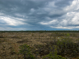 Fototapeta na wymiar landscape with old peat bog and swamp vegetation, Niedraju Pilka bog, Latvia