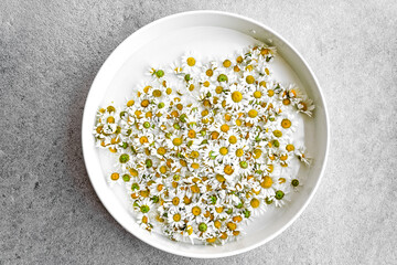 Daisy flowers in round tray