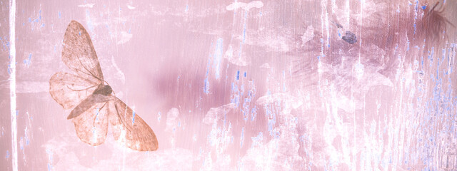 Pink-rosefarbener Hintergrund/Banner mit Falter und Federn, Grungelook, Retro- Vintagestaye oder Shabby chic