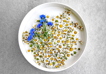 Daisy and bluet flowers in round tray