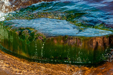 a large flat rock lay at the water's edge. the stone is covered with green algae.