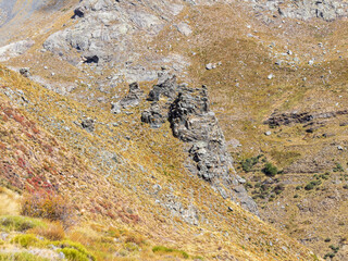 walk through the Sierra Nevada mountains
