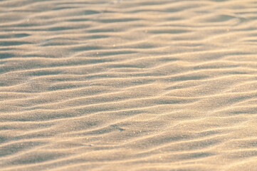 Texture de sable sec ondulé par les vagues