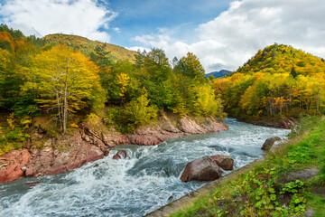 A fast mountain river flowing in the stone watercourse among an autumn colored forest in the hills