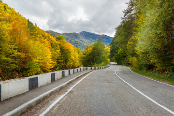 An asphalt covered road in an autumn forest in mountainous terrain