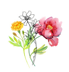 Hand-drawn flowers.  Watercolor illustration for design.