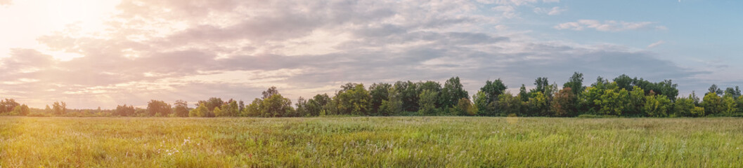 Obraz premium Panorama of a large green meadow in the sunlight