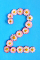 The number 2 is written in white pink flowers on a blue background. The number two is written in fresh colors, highlighted on a blue background. Arabic numeral inlaid with daisies.