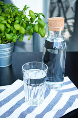 Beautiful fresh background for summer. A glass of water, a bottle of water, green basilica in a pot on the table on the background. Summer concept.