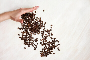 Coffee beans in hand on white background.
