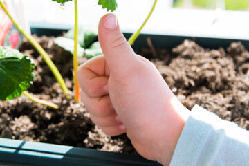 Childs hand show a big finger outside.
