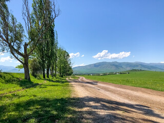 Fototapeta na wymiar landscape with road, road in the field