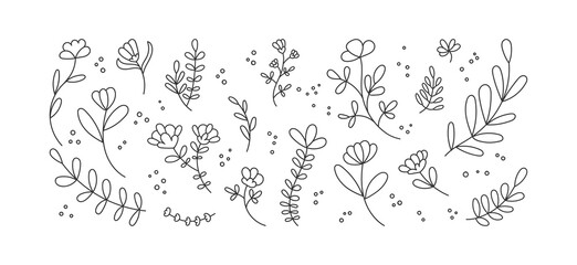 Set of cute doodle flowers and leaves. Vector collection of floral design elements. Decorative flowers, twigs, plants. Black outline isolated on white background. 