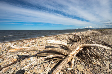 Strand, Steine