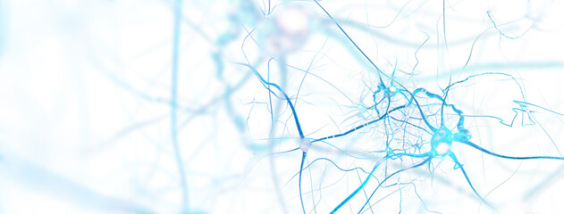 Neurons and nervous system. Nerve cells background with copy space (3d microbiology render banner) - obrazy, fototapety, plakaty
