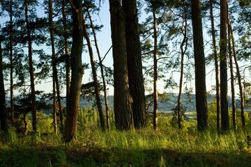 Obraz premium Typical panoramic preserved spring rural country landscape of South Bohemia, Czech Republi