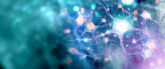 Neural network. Human nervous system background with copy space (3d microbiology render banner) - obrazy, fototapety, plakaty