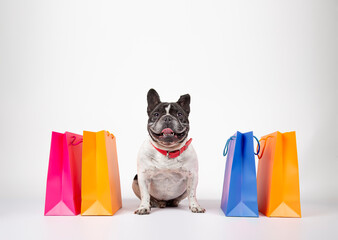 French bulldog with shopping bags ready for purchase and sale in the mall, isolated image on white...