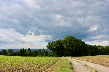 Obraz premium Melk Umgebung 21