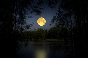 Big moon with reflection in the river in the forest