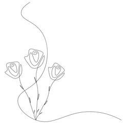 Roses flowers background line drawing, vector illustration
