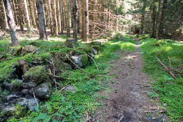 Obraz premium natural landscape in sumava national park i czechia