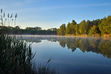 Sonnenaufgang am Waldsee.