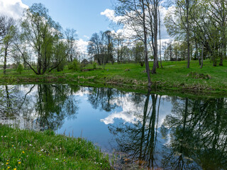 Fototapeta na wymiar spring landscape with tree silhouettes, green grass and a small pond, reflections of clouds and trees in the water