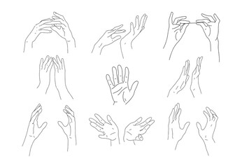 Set of linear outline hands. Two hands hold an object, make different gestures. Elements for design, logo. Vector doodle illustration isolated on white background.