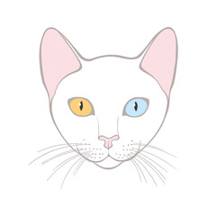 Cao mani, cat face. Hand-drawn vector illustration on white. Isolated element for design.