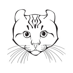 American curl, cat face. Hand-drawn vector illustration. Sketch. Line art. Black and white.
