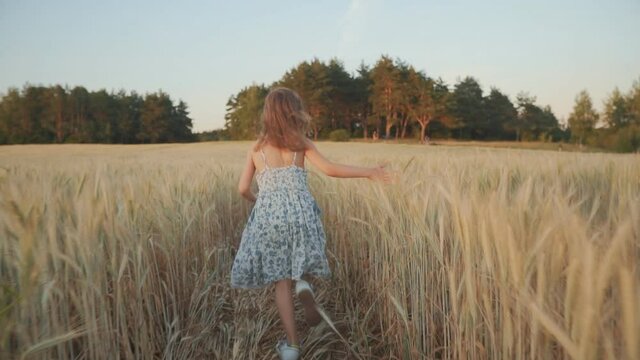 Happy Little beautiful girl running across the field at sunset