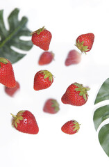 Strawberries and monstera leaf on white background.