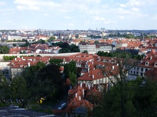 Fototapeta na wymiar view of the old city of Prague with red roofs from the hill