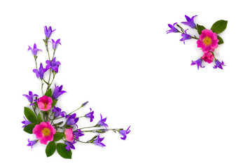Frame of violet blue flowers bell and flowers pink dog-rose on a white background with space for...