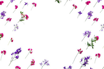Frame of violet and pink wildflowers, Consolida ( larkspur ), field wild pink flowers bean on a white background with space for text. Top view, flat lay