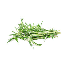 Twigs of green rosemary on a white background