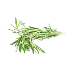 Twigs of green rosemary on a white background