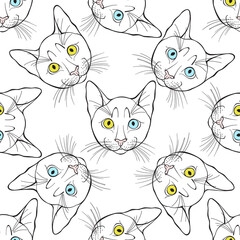 Cats face with colorful eyes. Seamless vector pattern on white. Hand-drawn vector illustration. Animal art background.