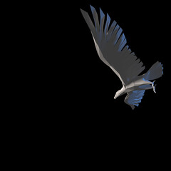 falcon eagle 3d low poly bird graphic illustration of wildlife animal that is isolated, colorful, background design geometric concept style icon mammal origami paper folded  triangle silhouette shape