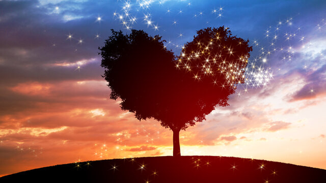 tree in heart shape and dramatic sunset sky, concept of charity and love