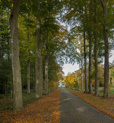 Huis Westerbeek. Estate. Fall. Autumn.. Beechtrees.  Maatschappij van Weldadigheid Frederiksoord. Drenthe. Netherlands. Lane structure.