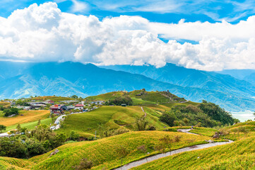 Daylily flower farm at Liushidan Mountain in Hualien, Taiwan