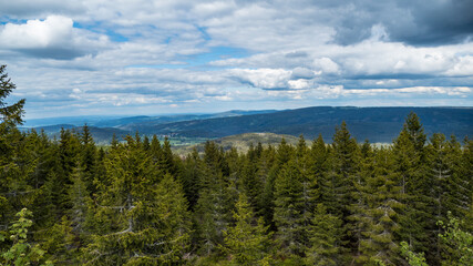 natural landscape in sumava national park i czechia