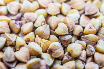 Buckwheat groats closeup. Macro photography